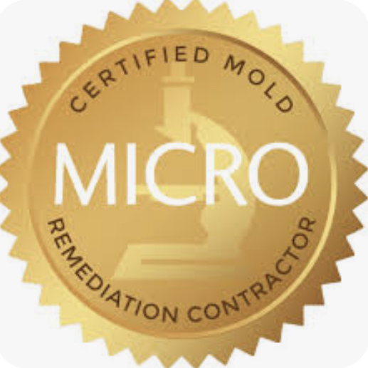 mold inspection fort wayne